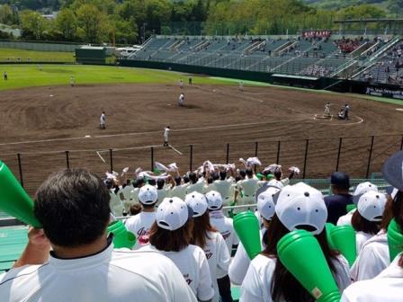 稚内 大谷 高校 野球 部