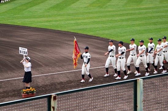 北 2019 大会 野球 北海道 高校