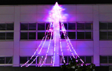 校地内でイルミネーションのプログラムから設置までを行います。